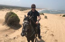 3 hours horse riding in Essaouira, beach, forest and dunes