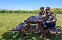 Marlborough Wine Tour - Discovery of Wine & Wine Only 4hrs