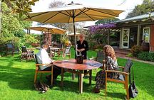 Marlborough Pure Wine Tasting Tour - afternoon 3-4hrs
