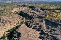 Sonoran Desert Jeep Tour 