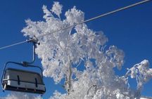 Full Day Ski Lesson (6 hours) in Yuzawa, Japan