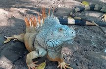 Ixtapa Island Tour