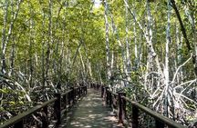 Pranburi Forest Park and Khao Daeng Join Tour from Hua Hin