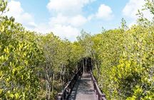 Pranburi Forest Park and Khao Daeng Join Tour from Hua Hin