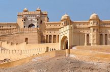 India Golden Triangle Tour with Wildlife Safari 