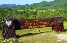 Elephant and Animal Watching in Kuiburi National Park - Join Afternoon Tour