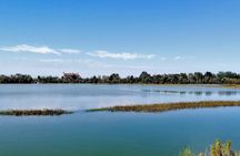 Lio Piccolo: Flamingos & Birdwatching Bike Tour in the Lagoon