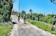 Lio Piccolo: Flamingos & Birdwatching Bike Tour in the Lagoon