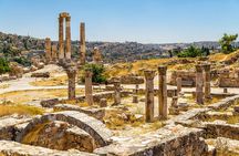 Private Half-Day Pella Tour from Amman