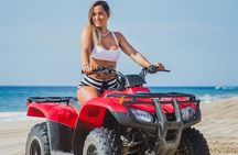 ATV Adventure and Tacos at Migriño Beach