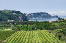 Slovenian coast Koper, Izola, Piran - Parenzana electric biking tour from Koper
