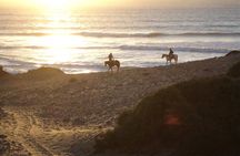 2 hours horse ride beach and dunes in Essaouira Morocco