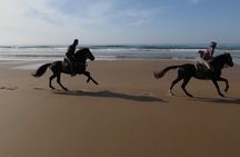 2 hours horse ride beach and dunes in Essaouira Morocco