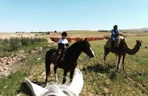 Horseback Riding in a special agafay desert 