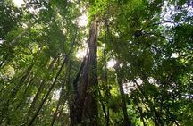 Full-Day Ocean Hike Tour at Puntarenas