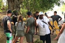Ocho Rios City Bus Tour (Beach, Sightseeing & Shopping)