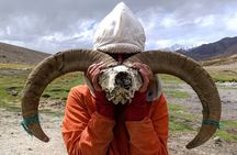 Ladakh One Day Trek- Gyamtsa to Phyang Village