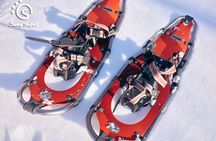Snowshoeing in Lapland Wilderness 