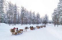 Reindeer Safari in Arctic Wilderness