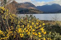 Magestic Wester Ross