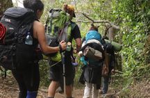 Waterfall Hike