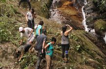 Waterfall Hike
