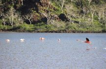 Day Tour to Floreana Island with Snorkeling and Fishing