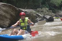 Chiang Mai: Jungle Kayak Adventure with Rapids & Elephants