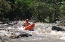 Chiang Mai: Jungle Kayak Adventure with Rapids & Elephants