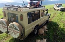  4 Days Big 5 Tour & Cultural Experience
