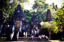 Customizable full-day tour of Bali with private driver