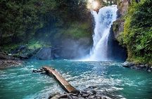 Customizable full-day tour of Bali with private driver