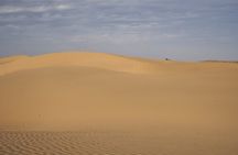 Half Day Camel Safari Sunset with Dinner Tour (Non Touristic)