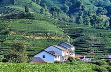 Flexible Hangzhou Private Tour from Shanghai by Bullet Train