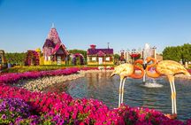 Miracle Garden In Dubai tickets with pickup drop option 