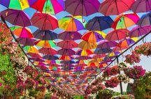 Miracle Garden In Dubai tickets with pickup drop option 