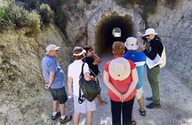 Athens to Ancient Corinth & Nemea | Private Full-Day Guided Tour