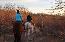 East Zion Checkerboard Evening Shadow Horseback Ride