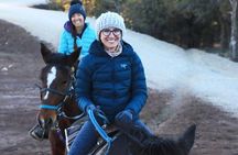 East Zion Checkerboard Evening Shadow Horseback Ride