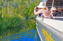 Noosa Everglades Cruise and Highlights Private Tour Inc. Lunch