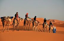 Adventure Red Dune Desert Safari With BBQ Dinner & Shows