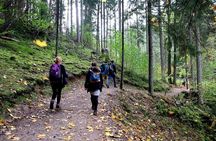 Hike In Gauja National Park - Up And Down The Switzerland Of Latvia