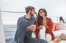 Whale Watching Tour in Los Cabos