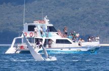 Freedom 3/4 Day Hervey Bay Premium Whale Watching Cruise