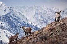 Everest Base Camp Trek with Kathmandu Valley Sightseeing Tour