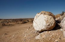 Welwitschia Tour from Swakopmund