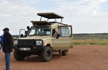 3-Day Maasai Mara Sharing Safari in a 4x4 Land Cruiser Jeep