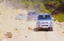 Self drive 4x4 Jeep Safari - Pick ups in the North