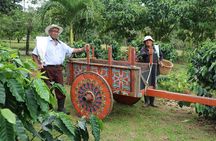 Craft Specialty Coffee and Chocolate Tour at North Fields
