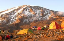 7 Day: Hiking Kilimanjaro via Lemosho Route